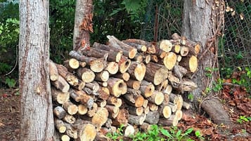 Una pila di legna tagliata in una zona boschiva con alberi e sottobosco.
