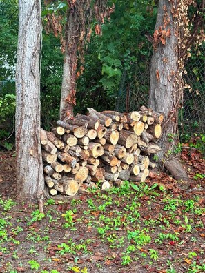 Un montón de leña apilada en un área boscosa con árboles y maleza.