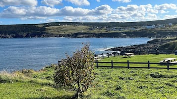 Terrain de l’hébergement