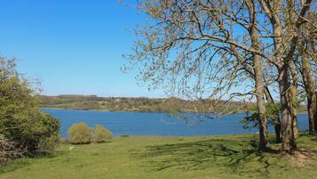 Un'area verdeggiante con un lago, alberi e una vista lontana di case.