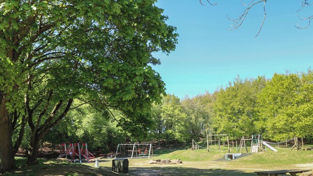 A playground with swings, slides, and climbing structures surrounded by trees. - Gardeners Cottage (Oakham)