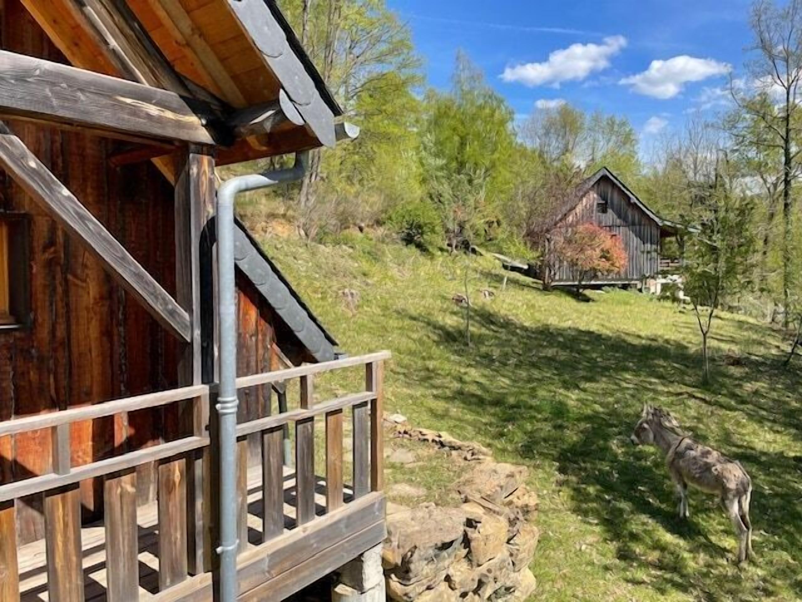 Boendeområde