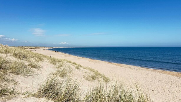 Een strand met duinen en een helderblauwe lucht.