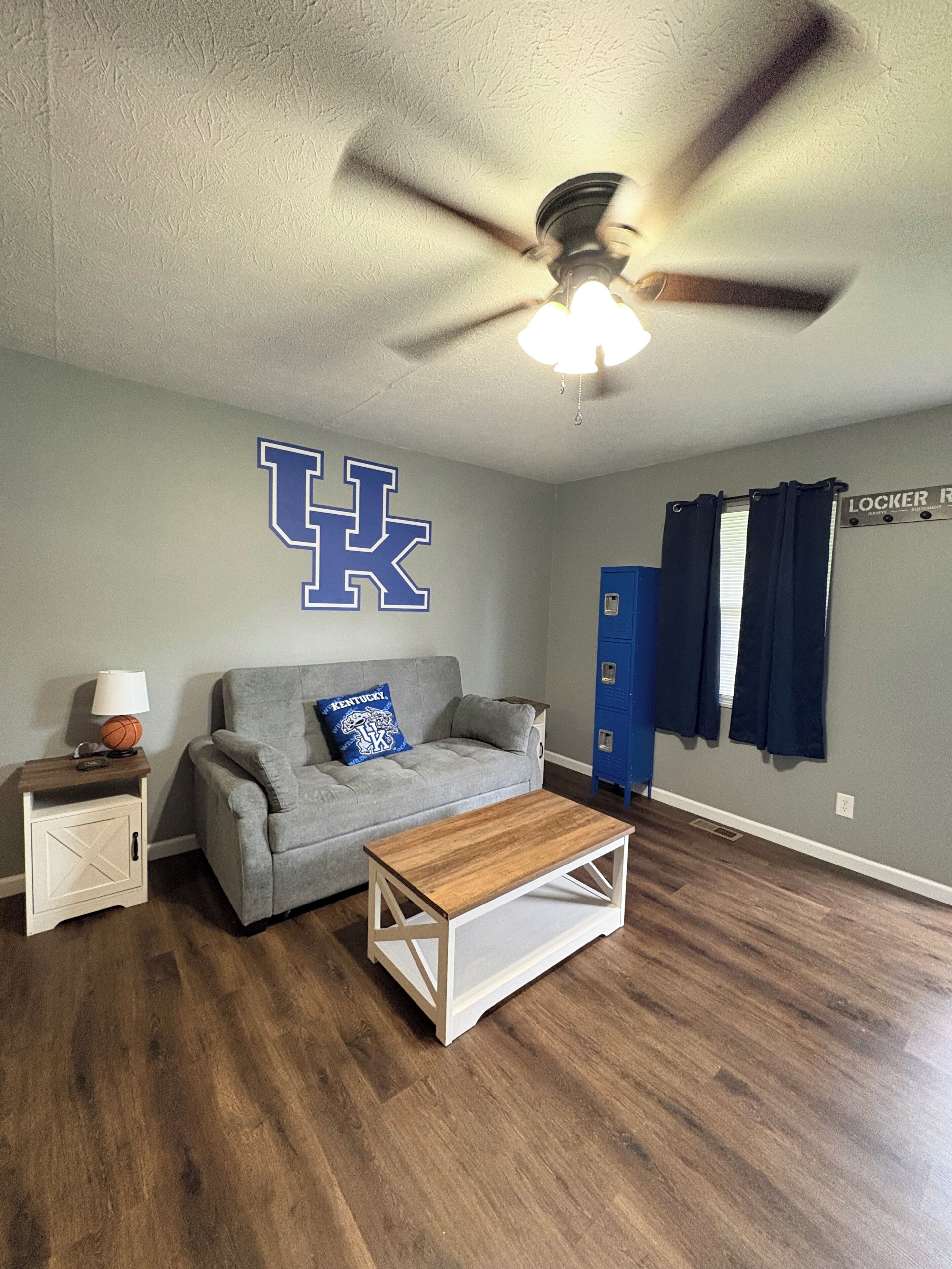 Smart TV, fireplace, books
