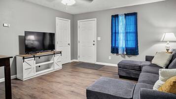 Smart TV, fireplace, books