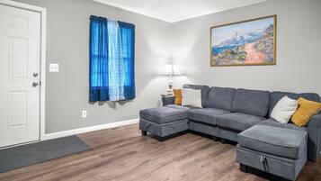 Smart TV, fireplace, books