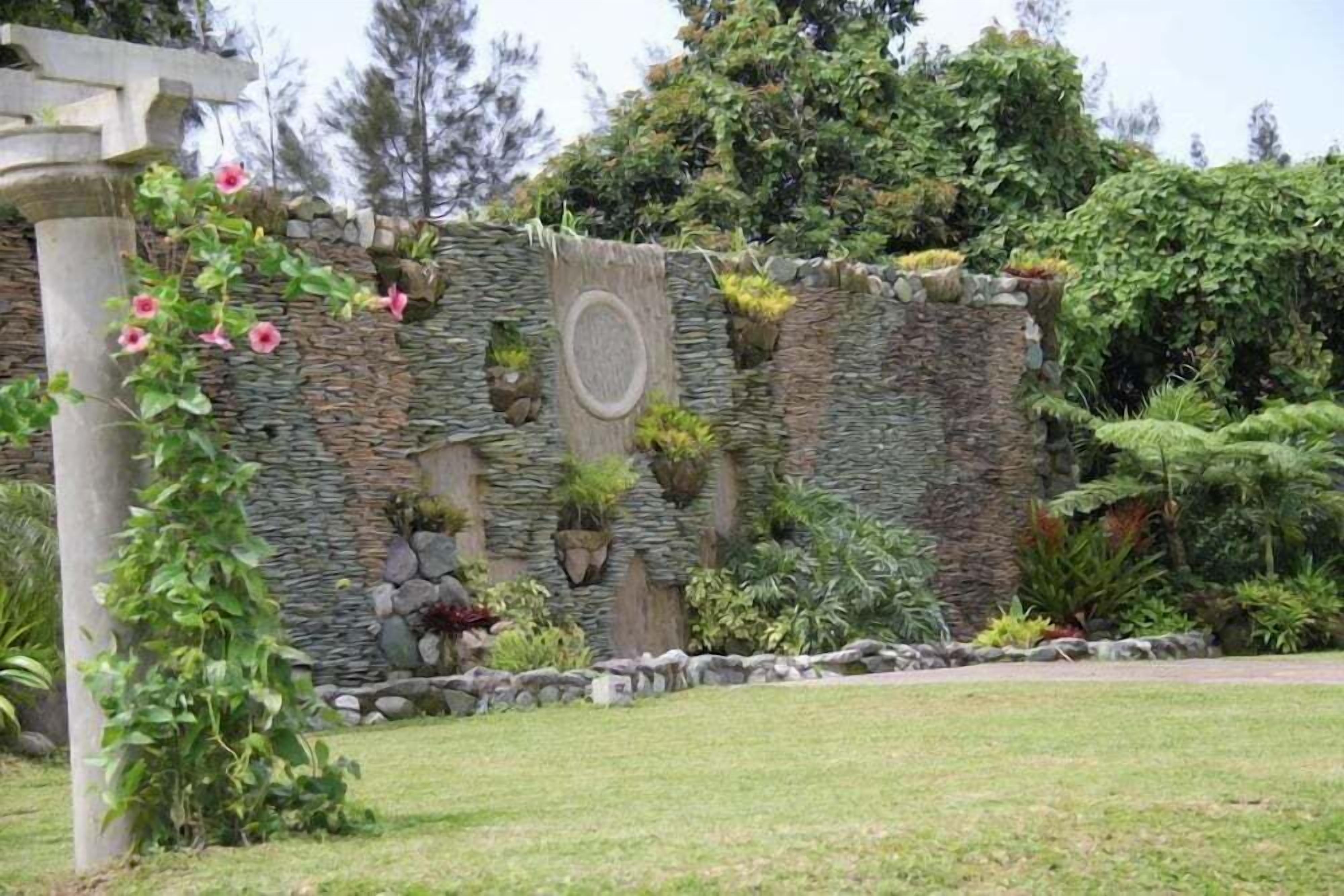 A garden with a stone wall, various plants, and a pergola.