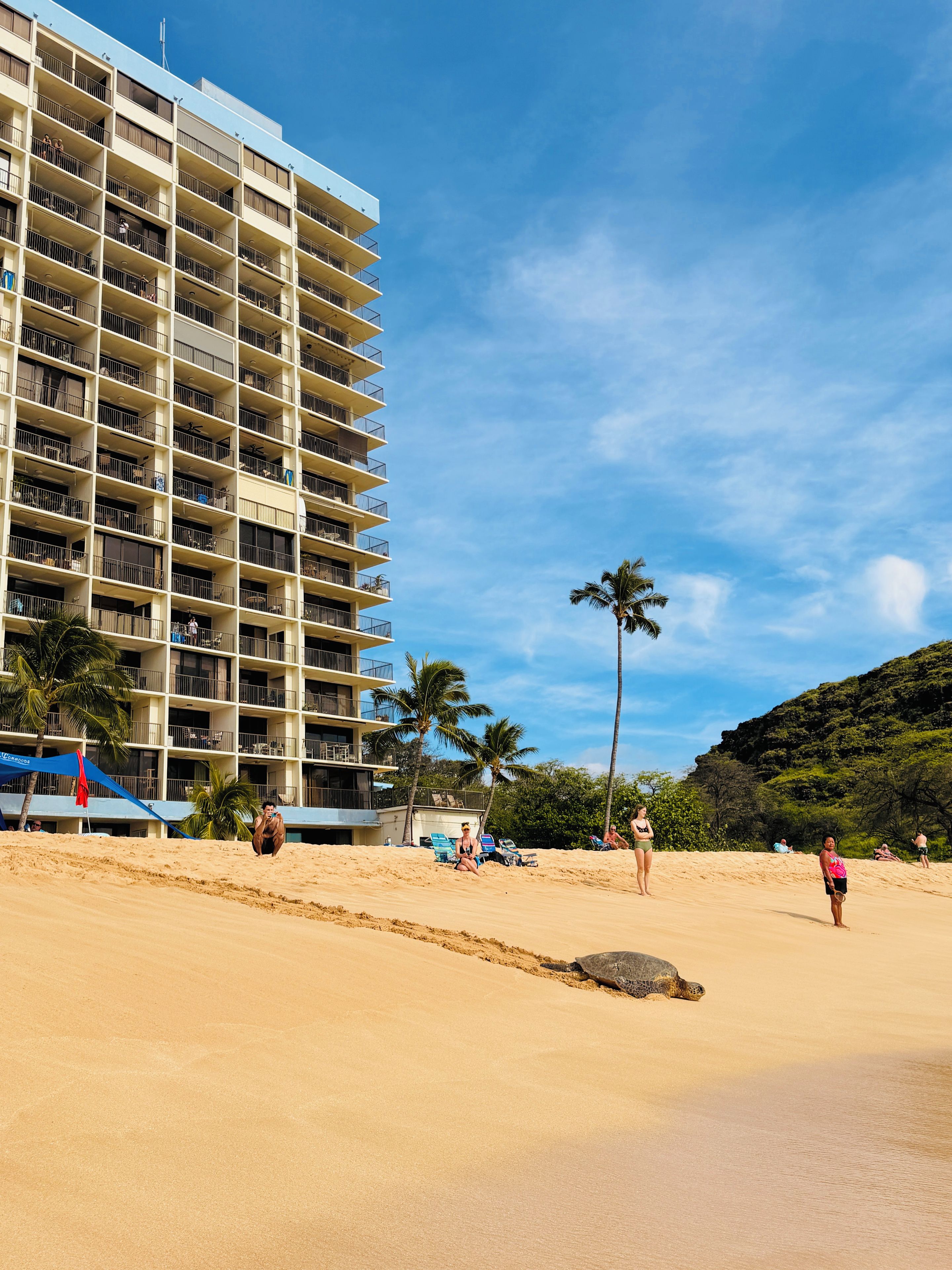 A beachfront hotel with multiple balconies, palm trees, and a clear sky.