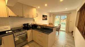 Une cuisine moderne équipée d’une cuisinière, d’un four et de meubles de rangement en bois.