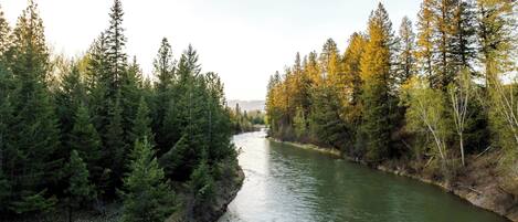 A river flanked by dense forests with a clear view of the waterway.