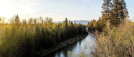 A river flowing through a forested area with trees and mountains in the background.