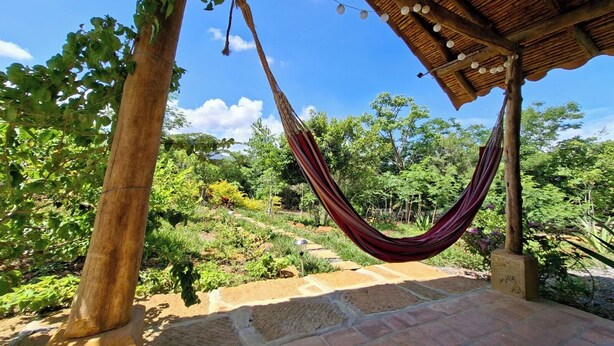 A hammock under a wooden structure with a stone pathway and lush greenery.