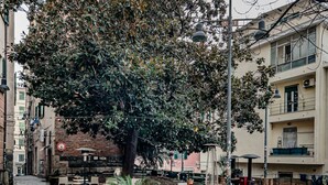 An outdoor seating area with tables and chairs, a large tree, and buildings in the background. - [Savona Old Town] Cruises 10 mins • Free WIFI (Savona)