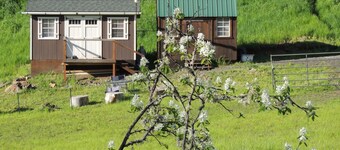 Off the Beaten Path -Tranquil 1-bedroom cabin with AC in charming Harpster