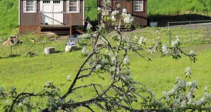 Off the Beaten Path -Tranquil 1-bedroom cabin with AC in charming Harpster