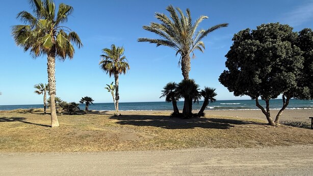 A beach with palm trees and a clear view of the ocean. - La cala "Tourism & Holidays" Swimming Pool & Parking (La Cala del Moral)