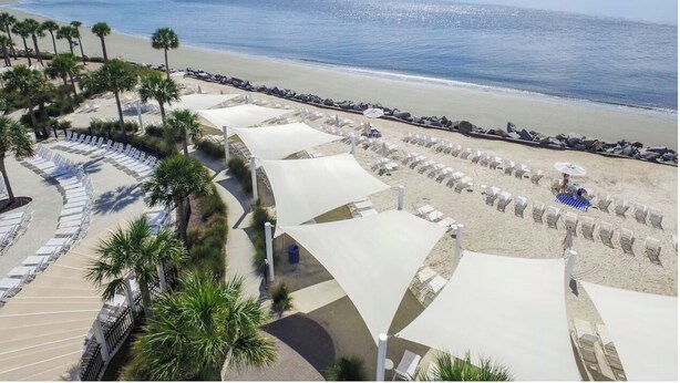 A beach resort with rows of sun loungers, palm trees, and a view of the ocean.