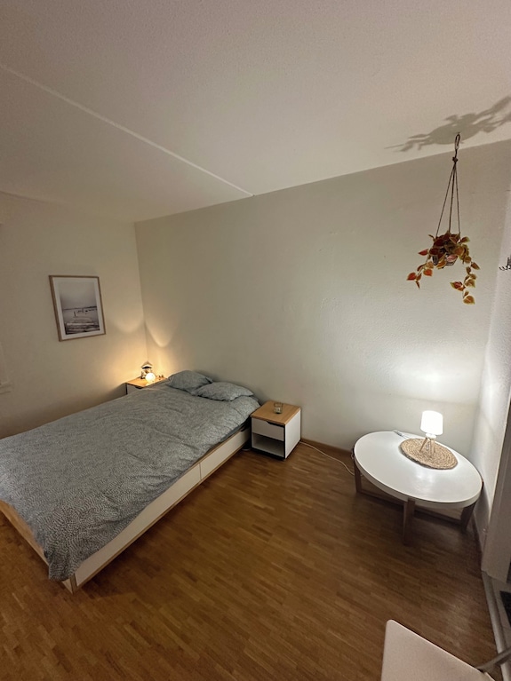 Central And Comfortable Apartment For Two Or Three People - 洛桑市