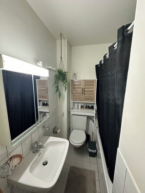 Hair dryer, towels, soap, toilet paper - Central and comfortable apartment for two or three people (Lausanne)