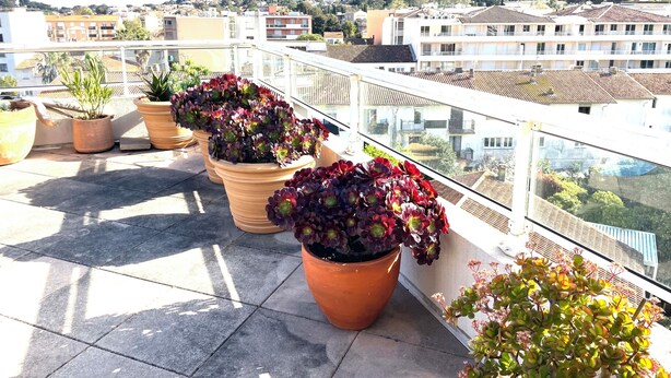 A rooftop terrace with potted plants, a glass balustrade, and a view of a hillside town. - Apartment with a large terrace (Cavalaire-sur-Mer)
