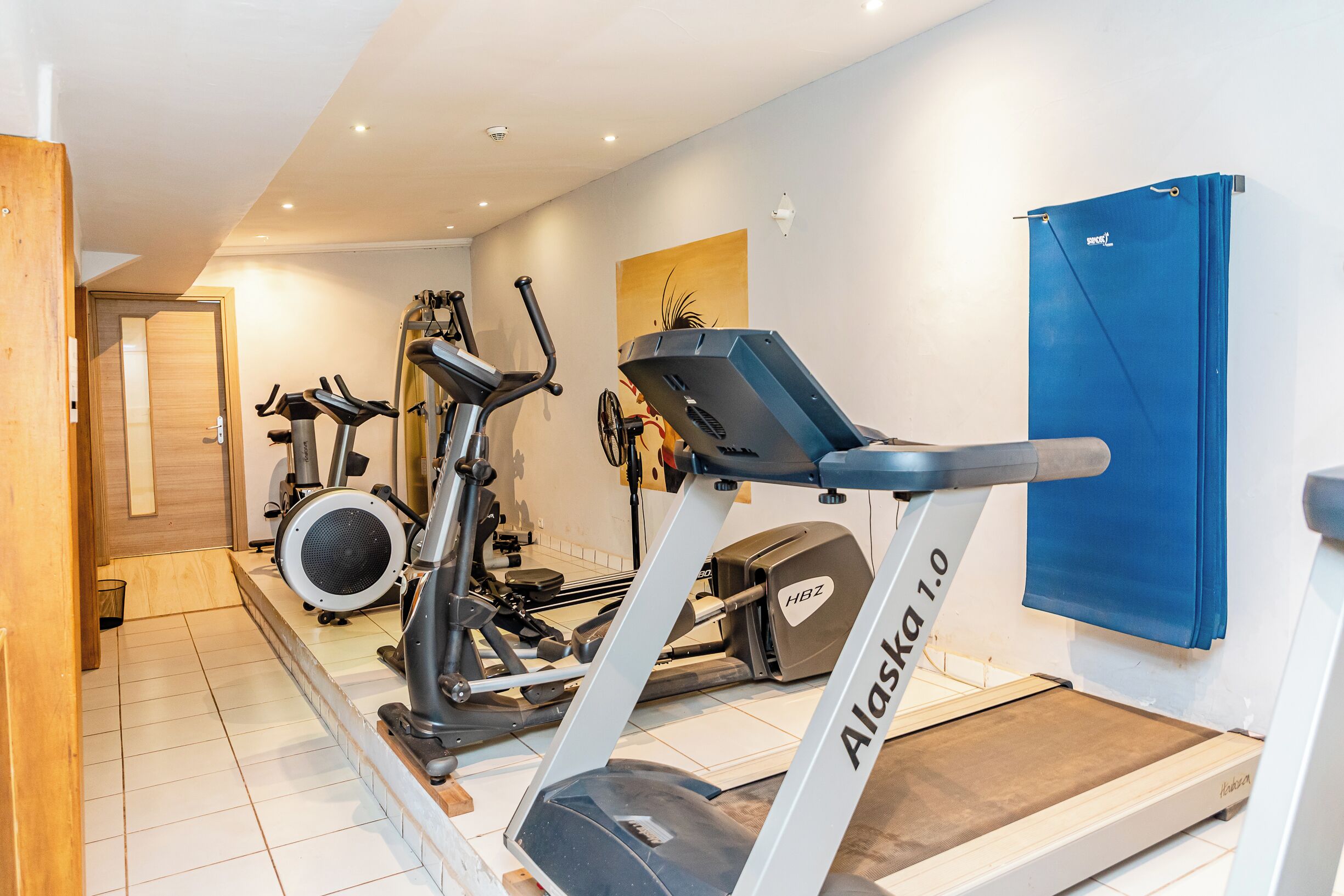 A gym with treadmills, stationary bikes, and weight machines.