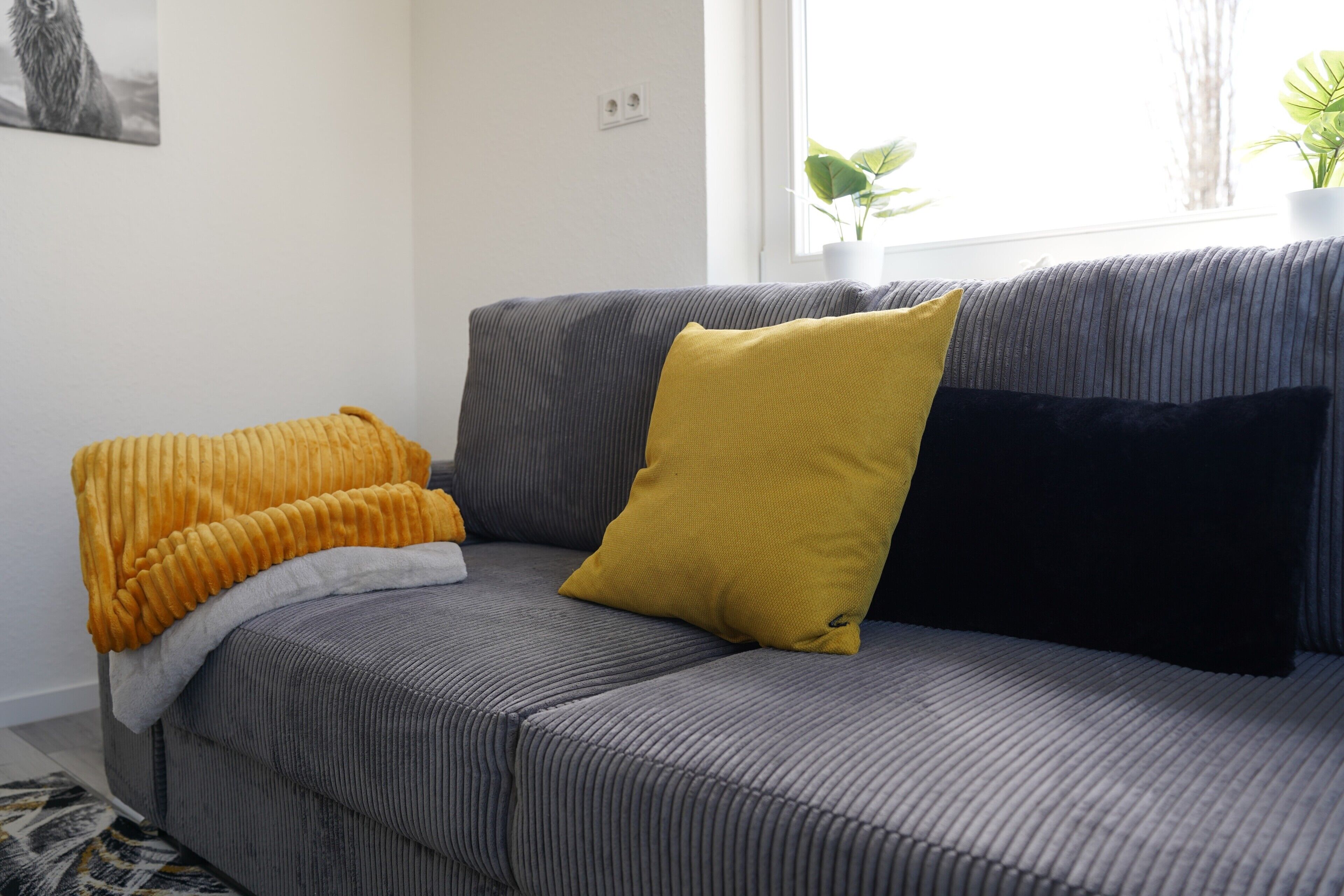 Un sofá gris con un cojín amarillo y uno negro, una manta amarilla y una planta en el alféizar de una ventana.