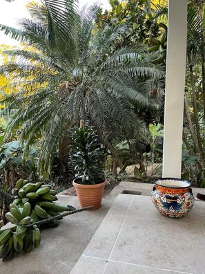 A potted plant, a decorative pot, and a tiled floor.