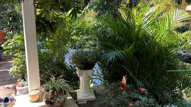 A covered outdoor area with various potted plants and a small statue. - A place to enjoy nature 1-bedroom cabin in soothing Los Planes De Renderos. (Panchimalco)