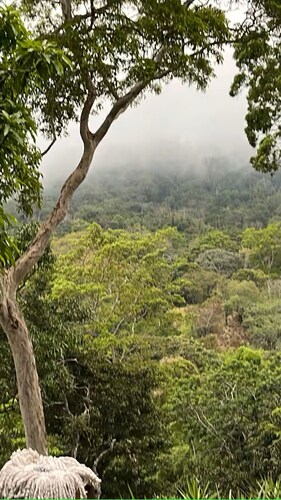 A place to enjoy nature 1-bedroom cabin in soothing Los Planes De Renderos.