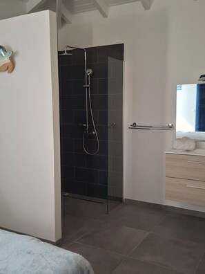 Shower, towels, soap, toilet paper