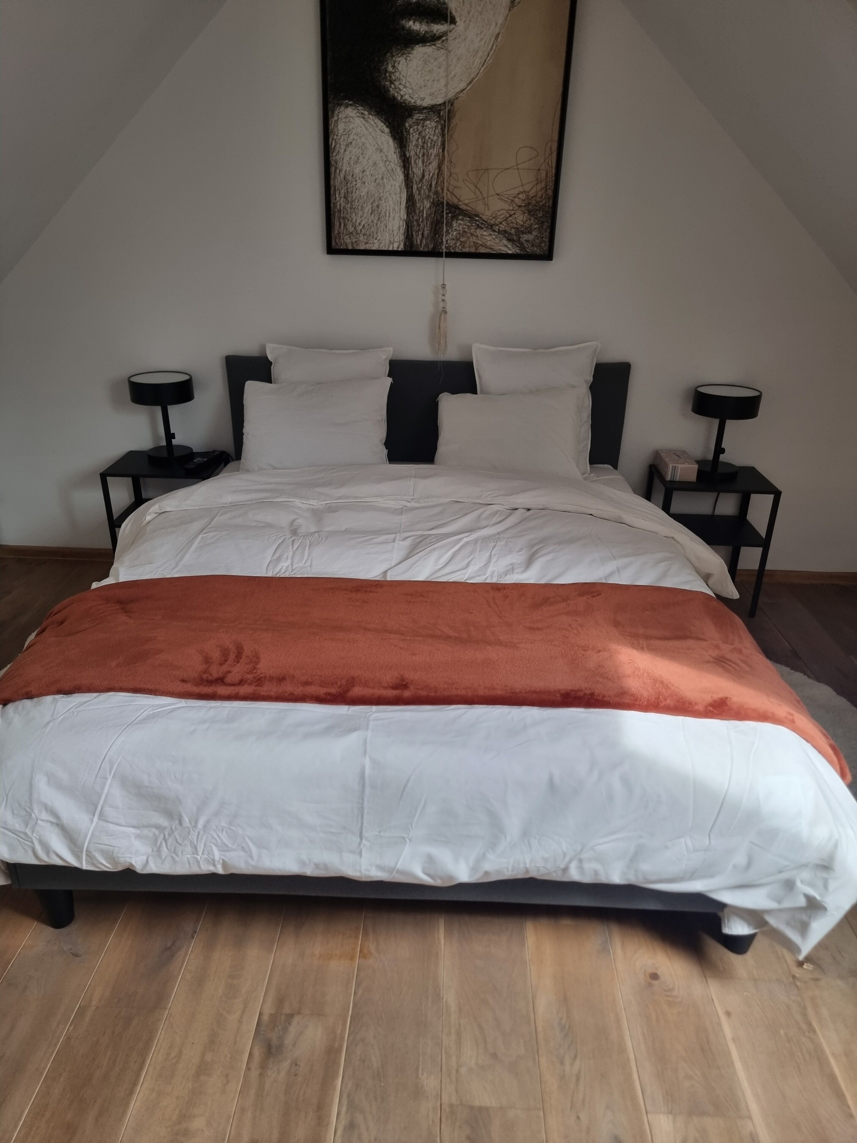 2 slaapkamers, een strijkplank/strijkijzer, wifi, beddengoed
