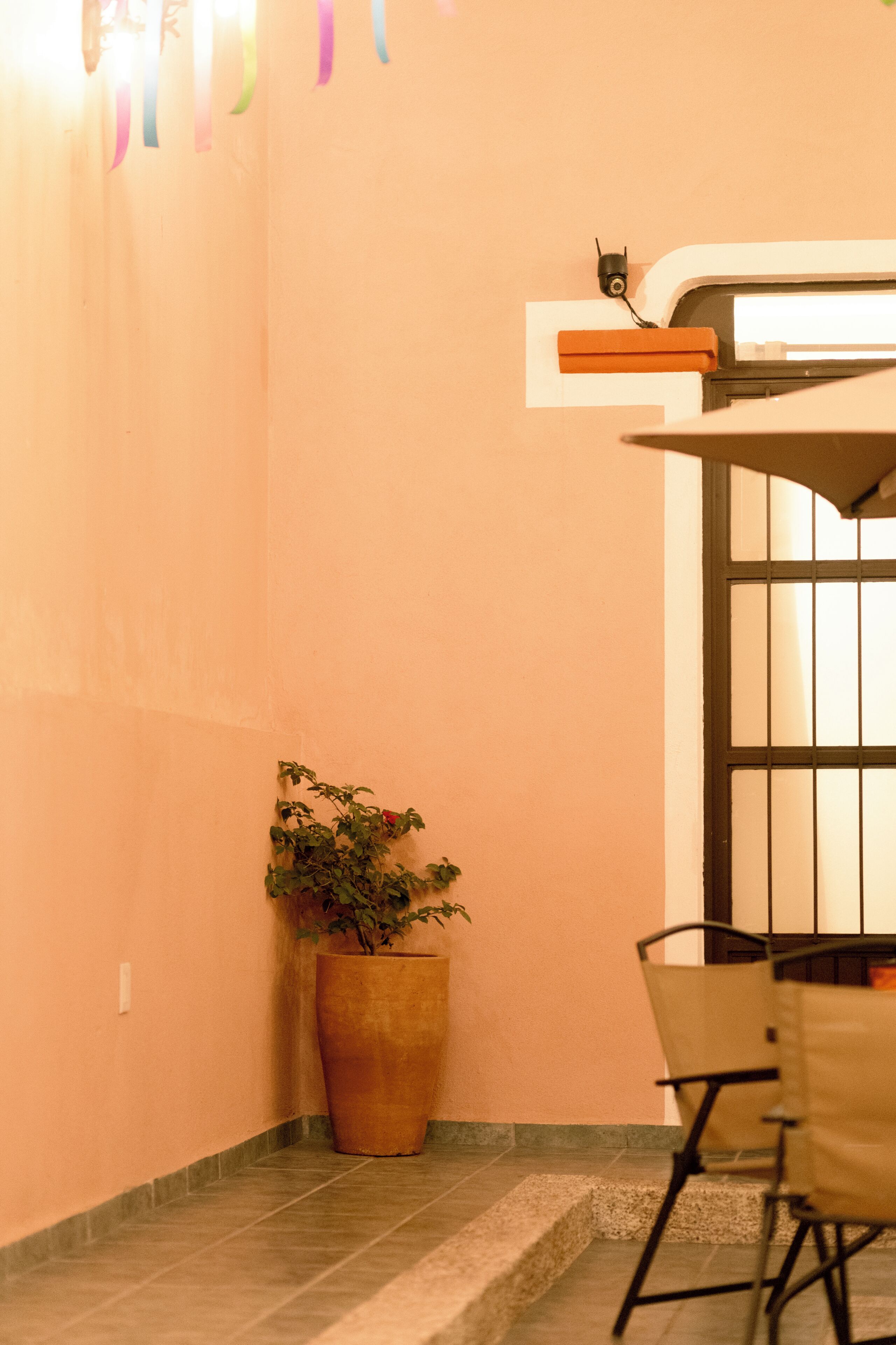 Habitación estándar, baño privado, vista al patio | Terraza o patio