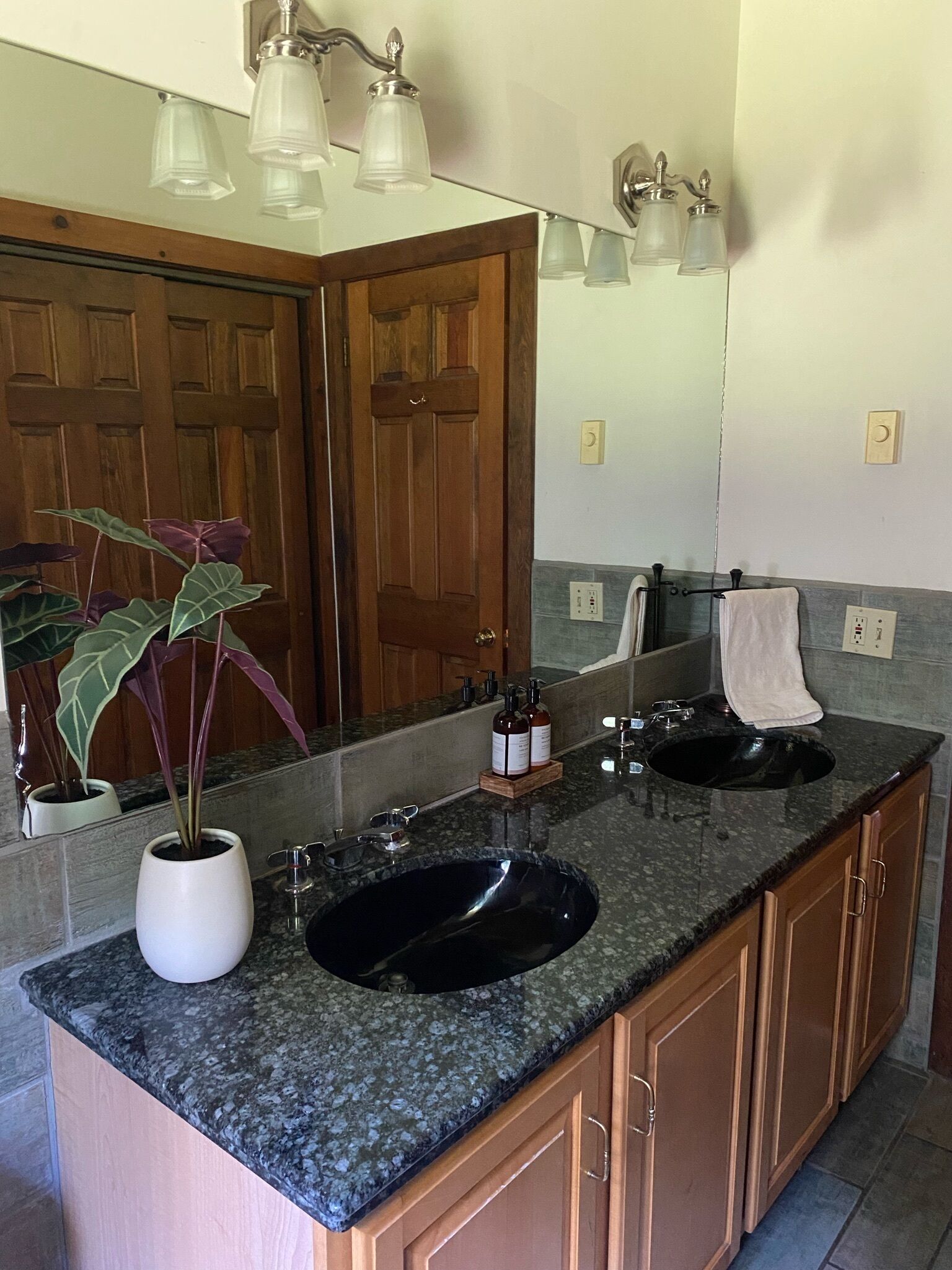 A bathroom with a double sink, a mirror, and a potted plant.