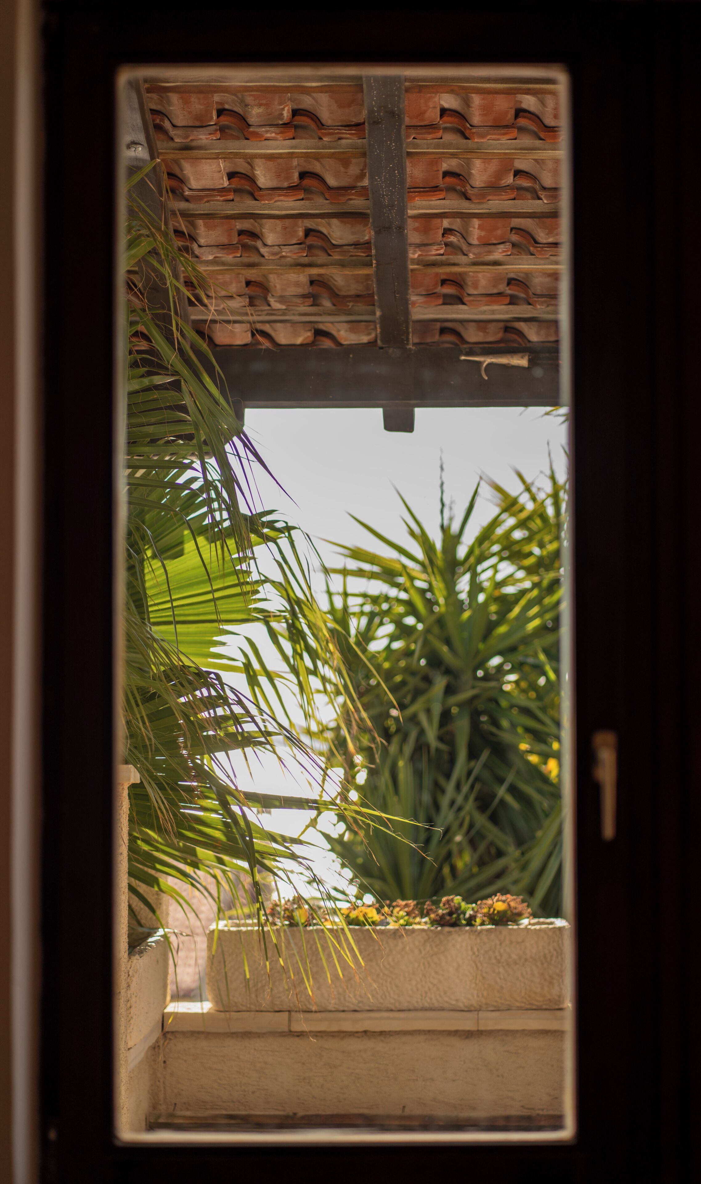 内装. Cozy 3-bedroom apartment with spacious patio overlooking pool and sea!
