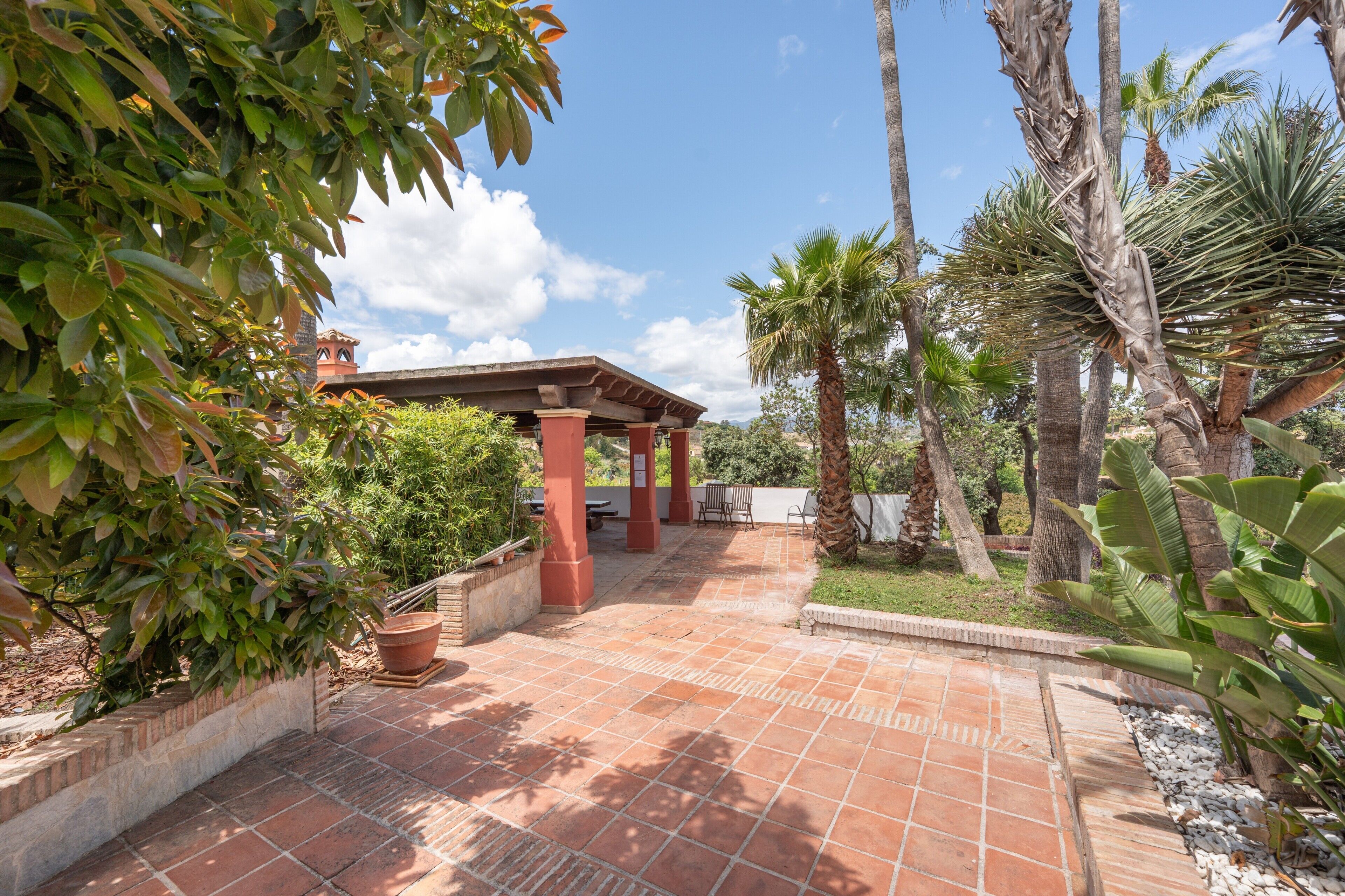 A patio area with a pergola, potted plants, and palm trees.