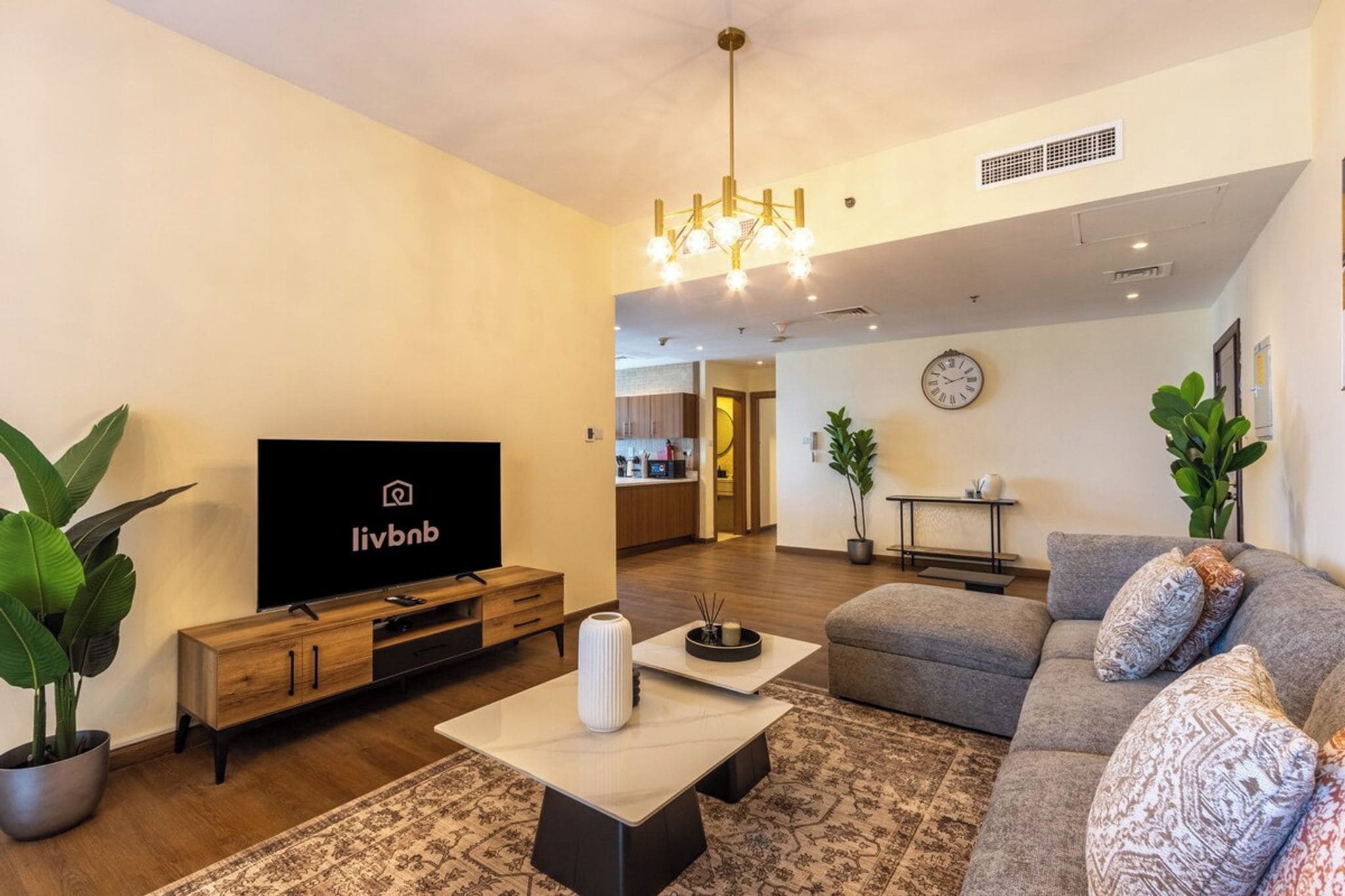 TV