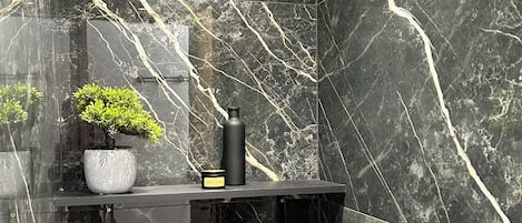 Shower, hair dryer, towels, toilet paper