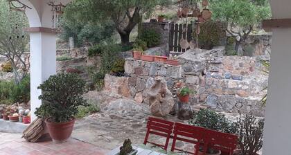 Quadruple Room with Shared Terrace, Lake View and Wi-Fi