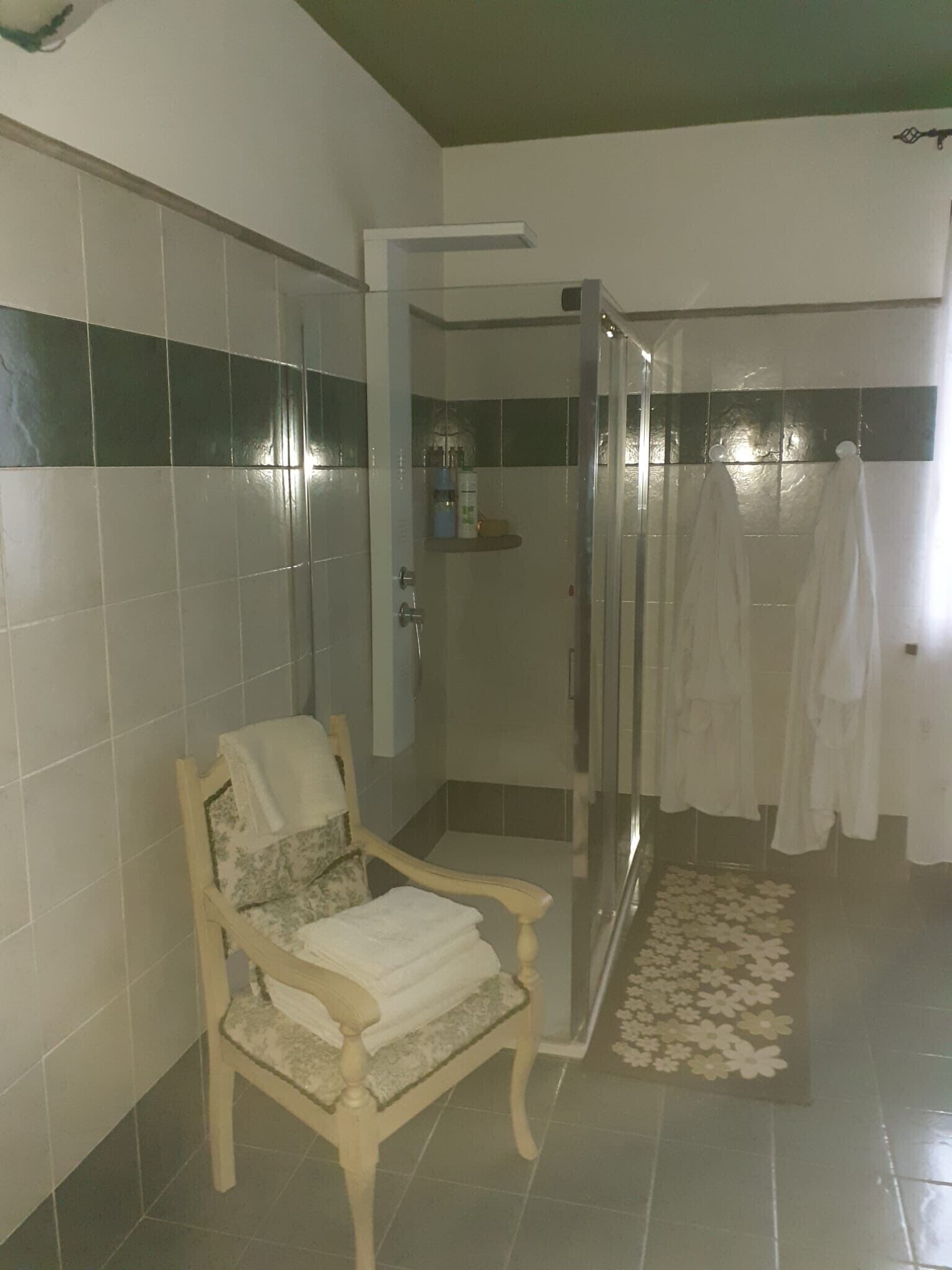 Ducha, secador de pelo, toallas