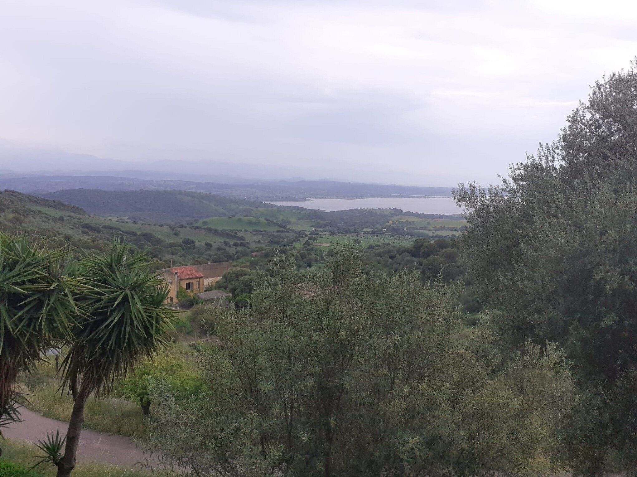Une vue panoramique d’un paysage avec un bâtiment entouré d’arbres et une étendue d’eau au loin.