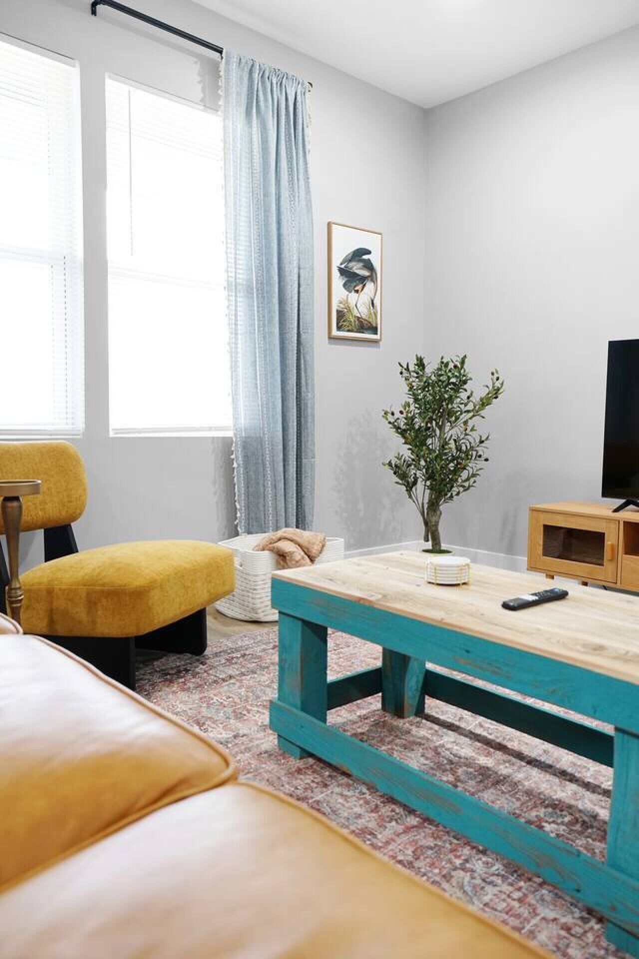 TV