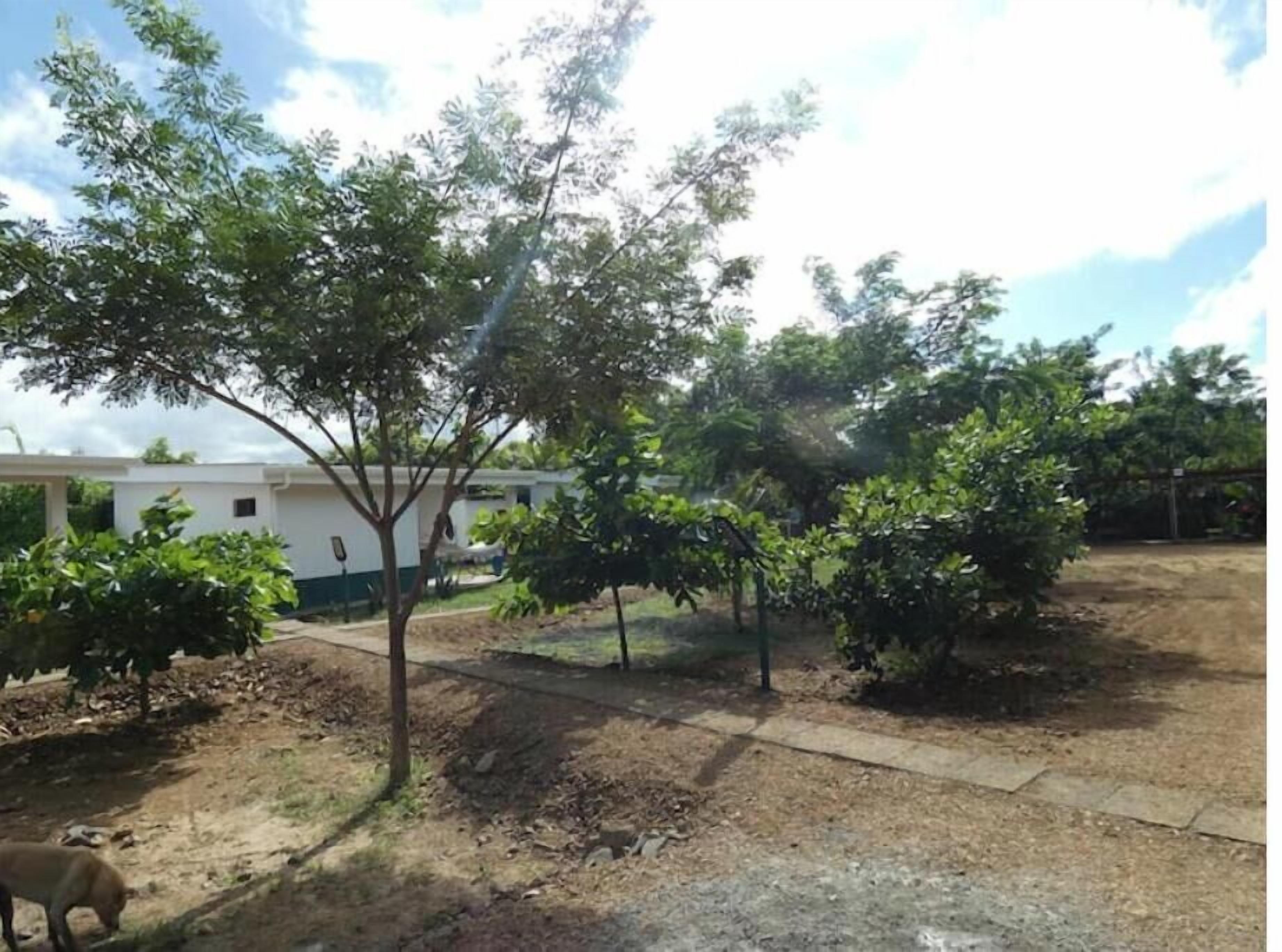 A residential area with trees, a pathway, and a white building.