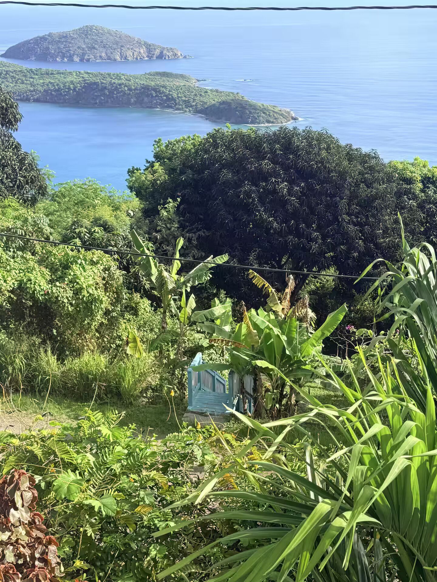 Üppige Landschaft mit einem kleinen Haus, umgeben von dichter Vegetation und Blick auf ein ruhiges Meer mit fernen Inseln.