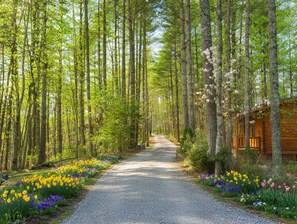 Un sendero de grava bordeado por coloridos macizos de flores y altos árboles que conduce a una cabaña de madera.