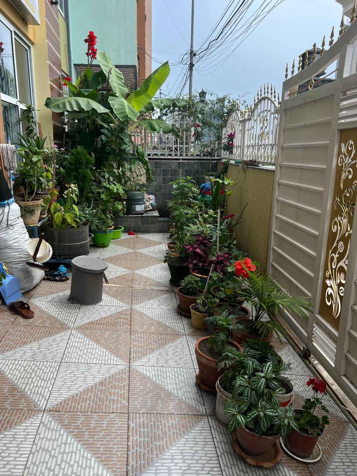 Zona d'un pati amb rajoles, plantes en testos i una reixa metàl·lica.
