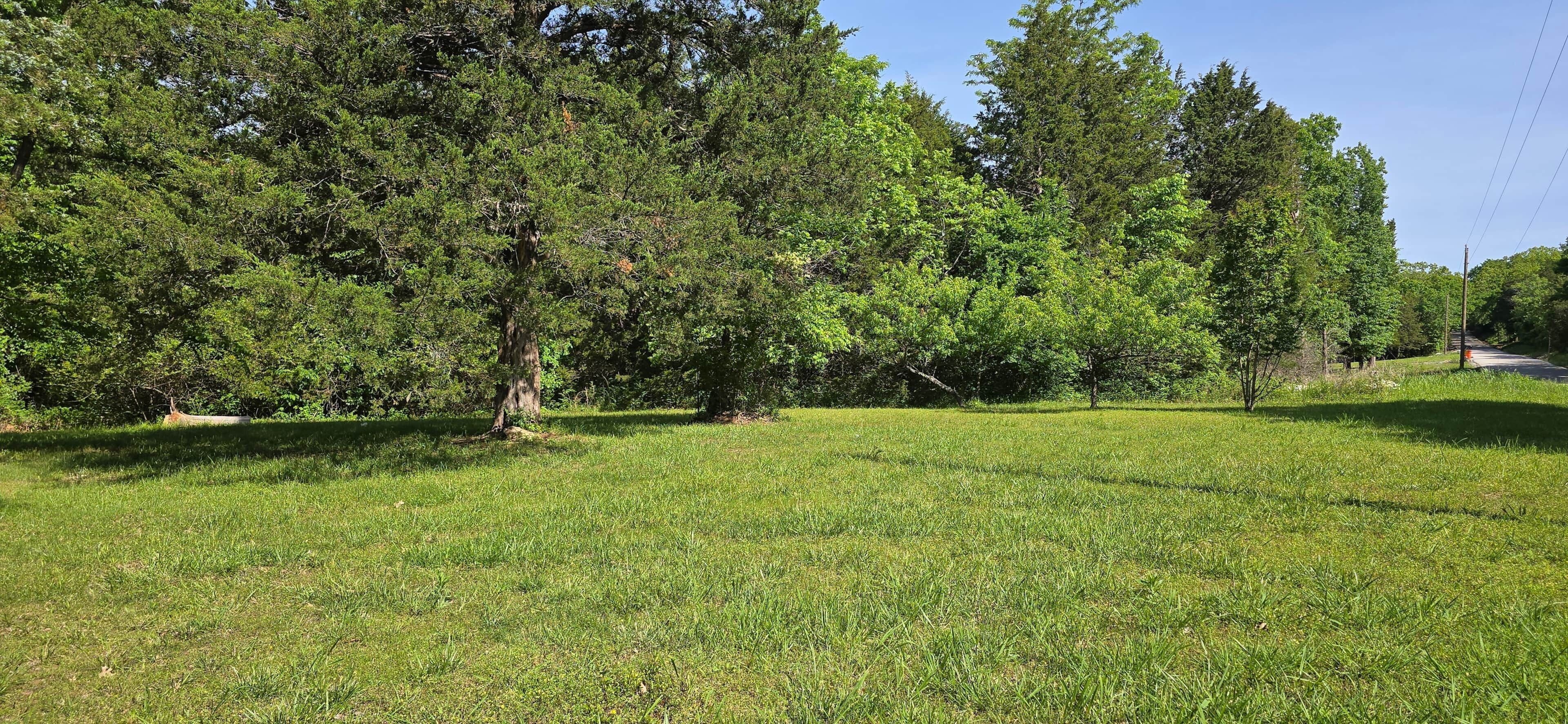 A grassy field with trees and a road in the background.