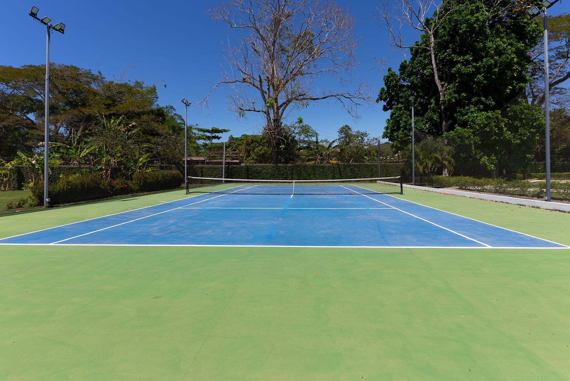 Terrain de sport