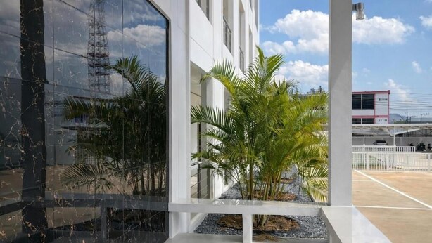 A modern building with large windows, a white exterior, and a small garden area with palm trees.