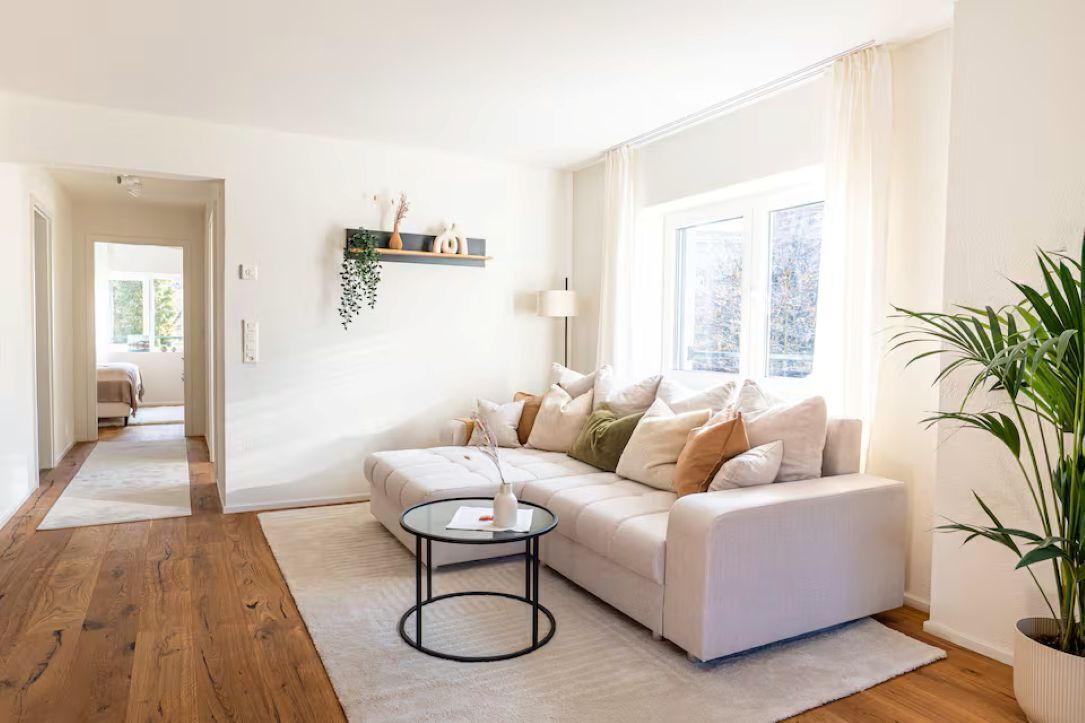 A modern living room with a sofa, a coffee table, a plant, and a window with curtains.