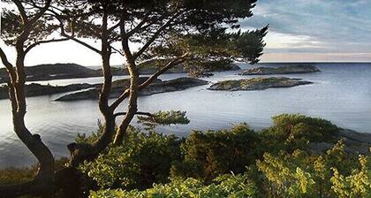 Fantastic sea view!